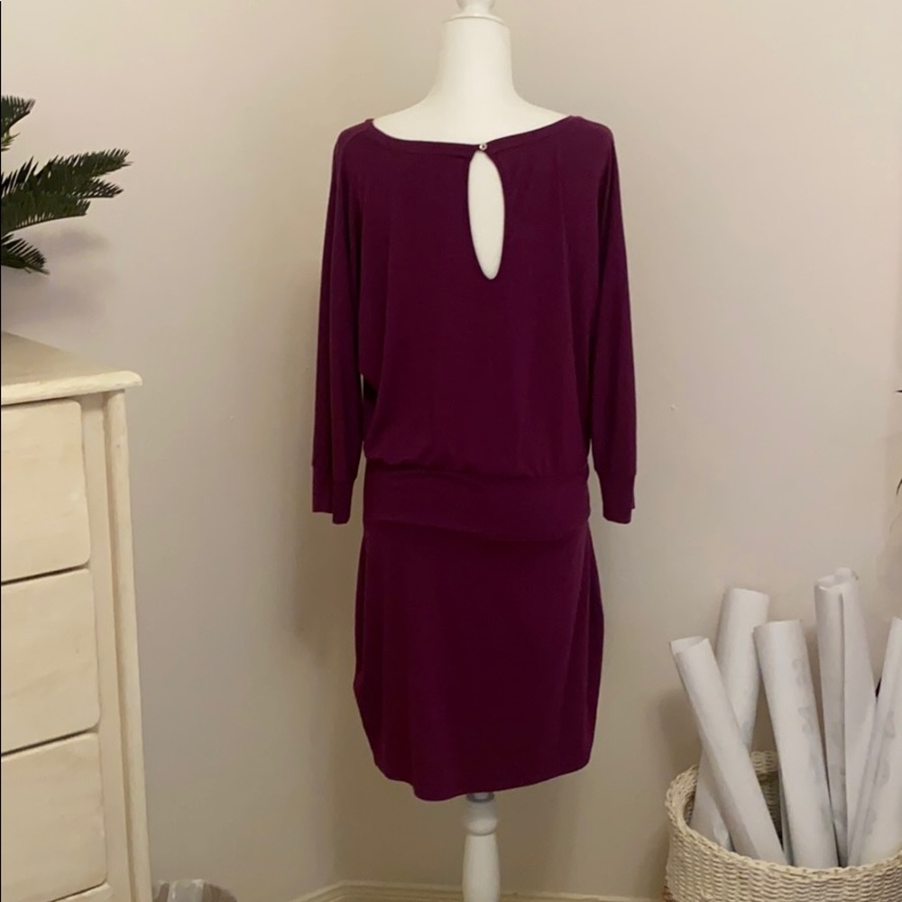 Express Dress - Picture 2 of 4